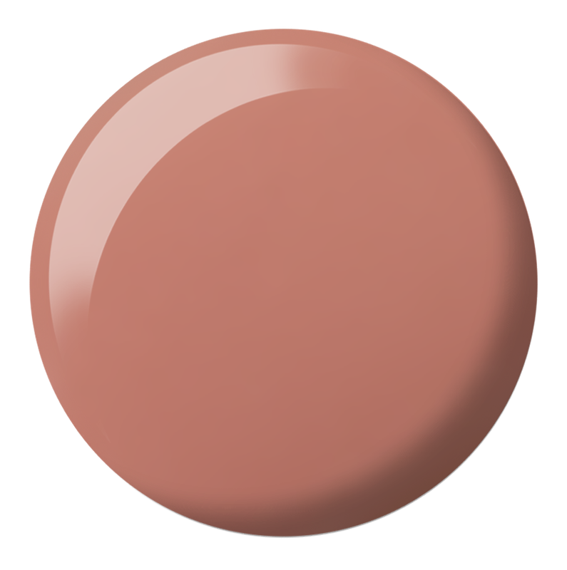 DND DC SHEER COLLECTION #2436-2471