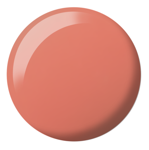 DND DC SHEER COLLECTION #2436-2471