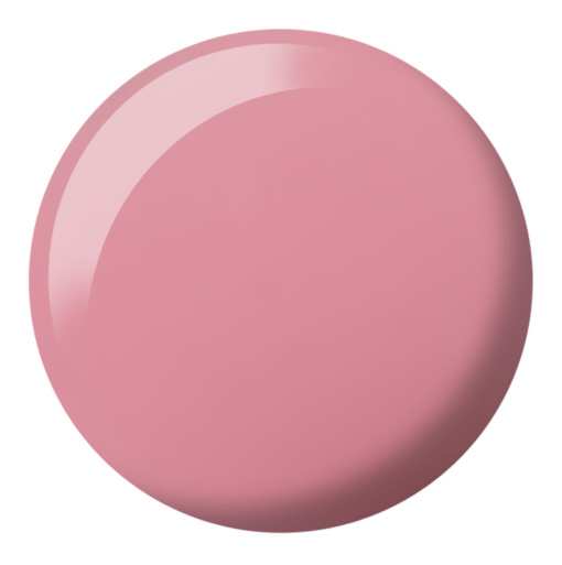 DND DC SHEER COLLECTION #2436-2471
