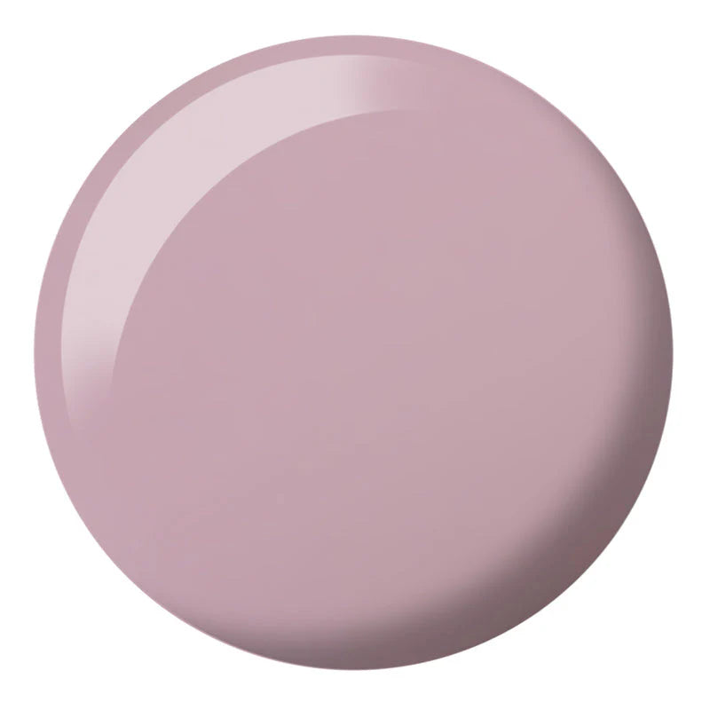 DND DC SHEER COLLECTION #2436-2471