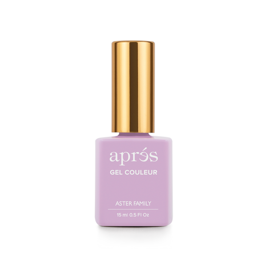 Aprés Aster Family - 341